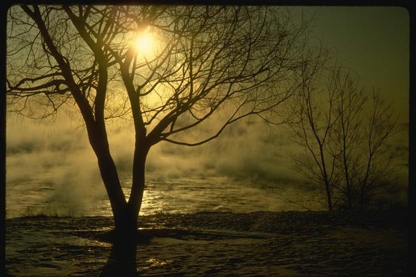 151084 Winter Sunrise A4 Photo Print