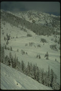 151089 View From Aerial Tree A4 Photo Print