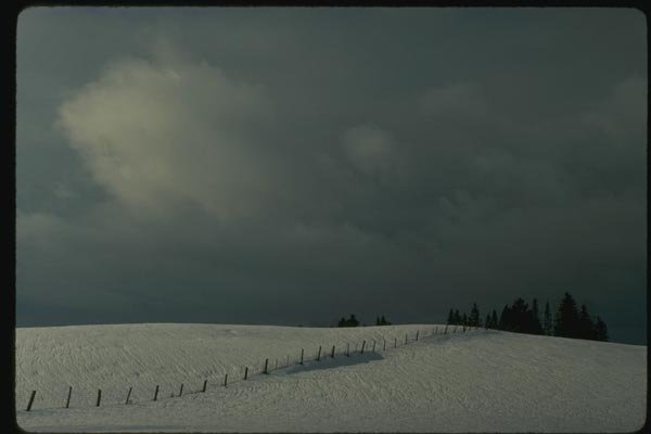 151092 Winter Storm A4 Photo Print