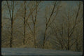 151099 Early morning Frost A4 Photo Print