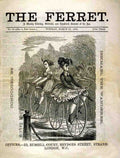 152 The Ferret 1870 Vintage A4 Photo Print