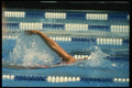 153013 Essential Backstroke Form A4 Photo Print