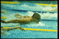 153017 At Maximum Power (butterfly) A4 Photo Print