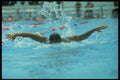 153032 Almost There (butterfly) A4 Photo Print