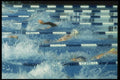 153033 The Race Is On A4 Photo Print