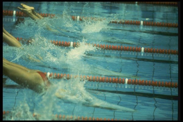 153036 Precision Entry A4 Photo Print