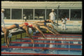 153047 At The Buzzer A4 Photo Print