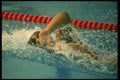 153050 Graceful Speed A4 Photo Print