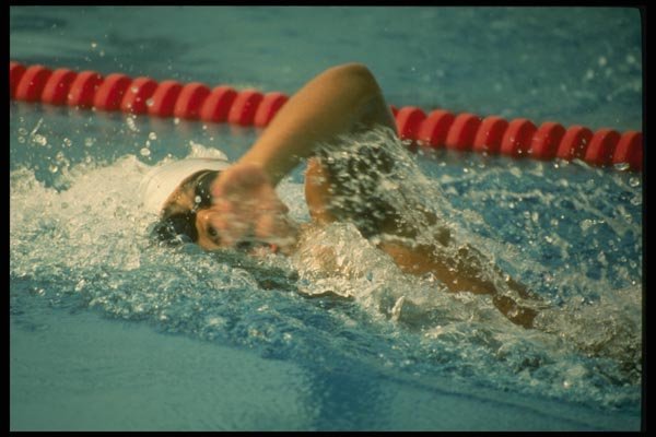 153050 Graceful Speed A4 Photo Print