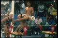 153060 Relay Madness A4 Photo Print