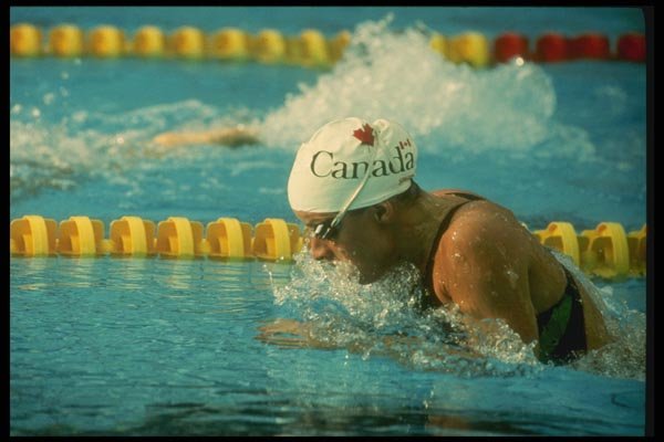 153064 Staying Focused A4 Photo Print