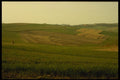 154002 Country Scene, Northeast Croatia A4 Photo Print