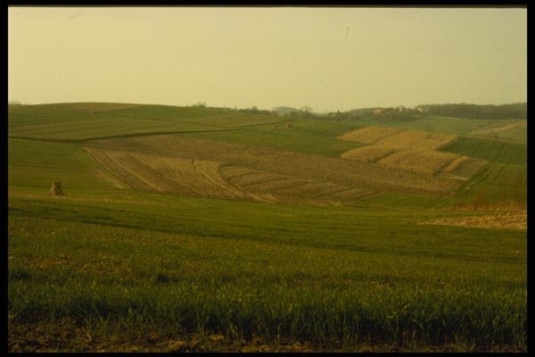 154002 Country Scene, Northeast Croatia A4 Photo Print