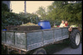 154004 Grape gathering In Zagorje Region A4 Photo Print