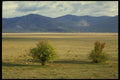 154013 Lika Plateau A4 Photo Print