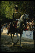 154022 Alka, Chivalrous Competition A4 Photo Print