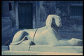 154025 Split, Croatian Sphinx In Peristyle A4 Photo Print
