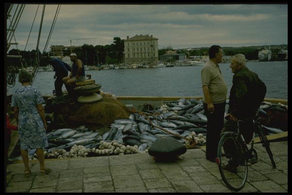 154052 Zadar, Fishermen On Early Morning A4 Photo Print