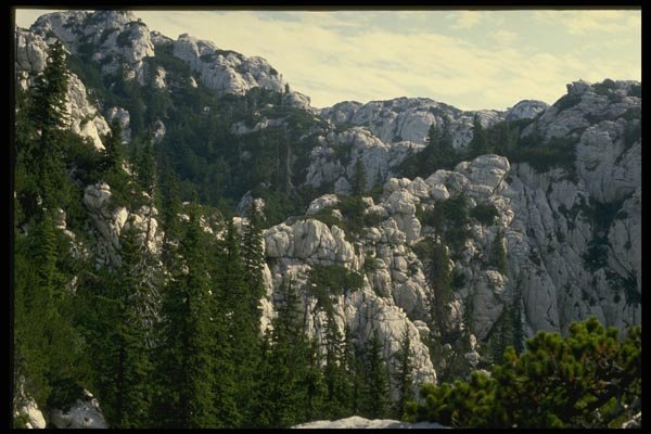 154077 Mt. Velebit A4 Photo Print