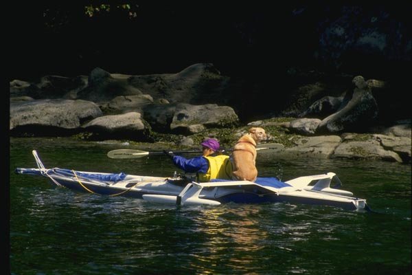 155010 Tryak And Dog Vancouver Island, B.C. A4 Photo Print