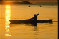 155011 Ocean Kayaking Vancouver Island, B.C. A4 Photo Print