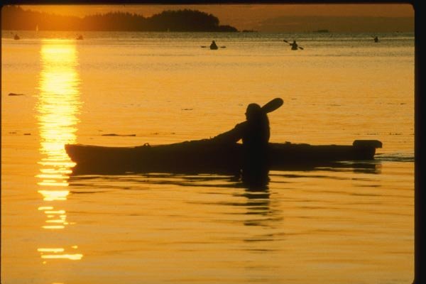155011 Ocean Kayaking Vancouver Island, B.C. A4 Photo Print