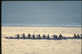 155012 Outrigger Canoe Racing Vancouver, B.C. A4 Photo Print