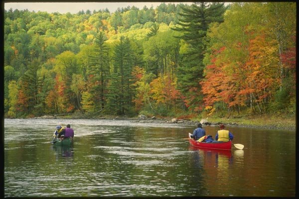 155018 Fall Canoeing Quebec A4 Photo Print