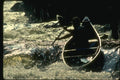 155062 Solo Canoe March River, Quebec A4 Photo Print