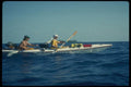 155081 Ocean Kayaking doubles A4 Photo Print