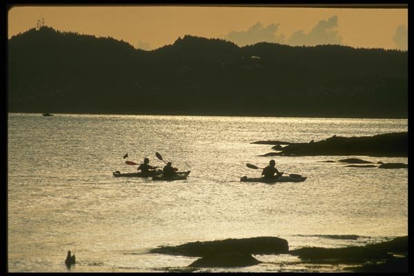155091 Kayakers Vancouver Island, B.C. A4 Photo Print