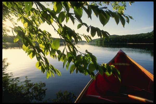 155094 Canoe Bow Gatineau River, Quebec A4 Photo Print