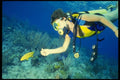 156007 Scuba Diver Feeding Yellow Coney A4 Photo Print