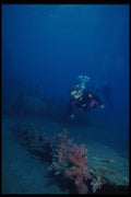 156010 Scuba Diver And Sunken WWII Hellcat Fighter Plane A4 Photo Print