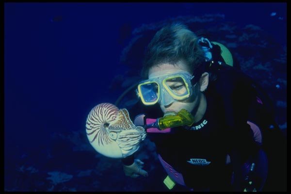 156016 Scuba Diver And Nautilus A4 Photo Print