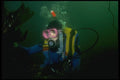 156019 Scuba Diver In California Kelp Bed A4 Photo Print