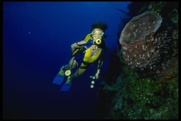 156022 Scuba Diver Next To Giant Barrel Sponge A4 Photo Print