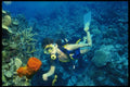156024 Scuba Diver With Orange Sponge A4 Photo Print