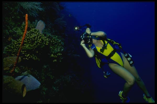 156027 Underwater Photographer On Caribbean Reef A4 Photo Print