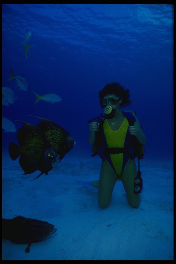 156029 Scuba Diver With French Angelfish And Nassau Grouper A4 Photo Print