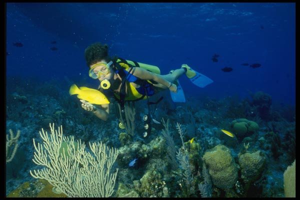 156031 Scuba Diver And Yellow Coney A4 Photo Print