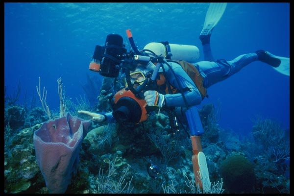 156034 Underwater Photographer With Caribbean Sponge A4 Photo Print