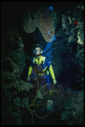 156037 Scuba Diver In Coral Arch A4 Photo Print