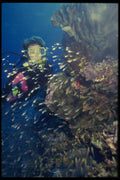 156050 Scuba Diver With School Of Small Glassy Sweeper Fish A4 Photo Print