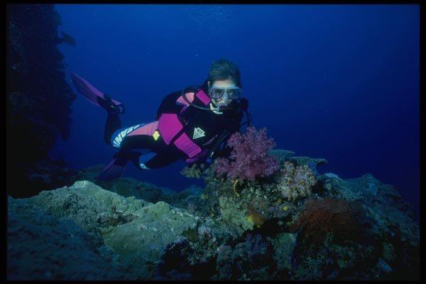 156052 Scuba Diver And Pacific Soft Coral A4 Photo Print