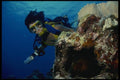 156056 Scuba Diver And Moray Eel A4 Photo Print