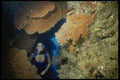 156065 Cave Filled With Sea Fans And Soft Coral A4 Photo Print
