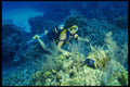 156073 Scuba Diver And Indigo Hamlet A4 Photo Print