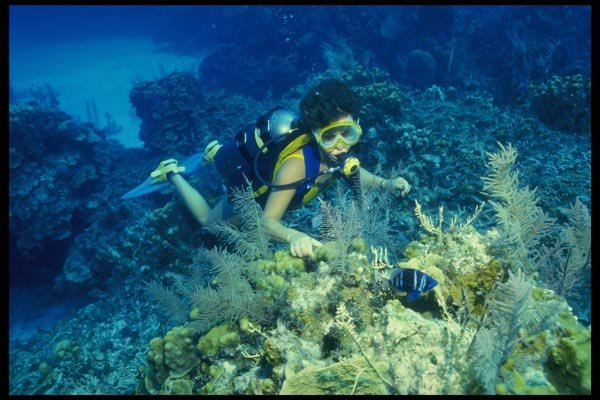 156073 Scuba Diver And Indigo Hamlet A4 Photo Print
