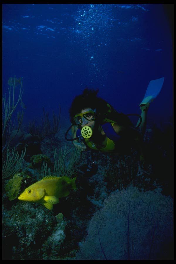 156074 Scuba Diver And Yellow Coney A4 Photo Print